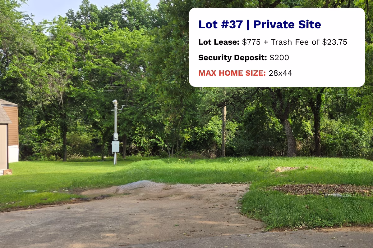 Lot 37